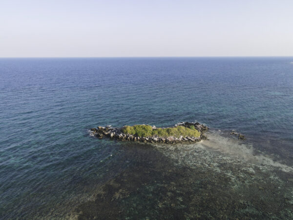 KARIMUN JAVA C (2D1N) - Image 3