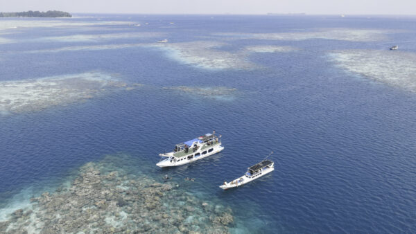 KARIMUN JAVA C (4D3N) - Image 3