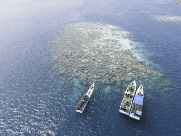 KARIMUN JAVA C (3D2N) - Image 2