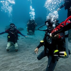 Paket Snorkelling Karimun Java
